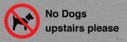no-dogs-upstairs-please-~